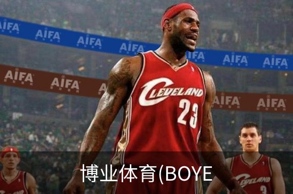 博业体育(BOYE概况